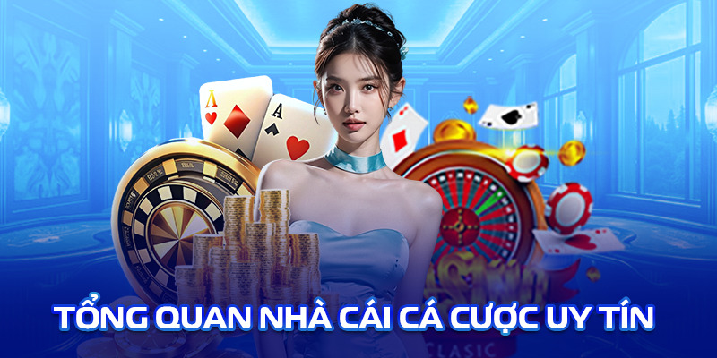 Giới thiệu tổng quan vài nét về 789P